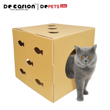 Cardboard Dice Cat House